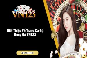 Giới Thiệu Về Trang Cá Độ Bóng Đá VN123